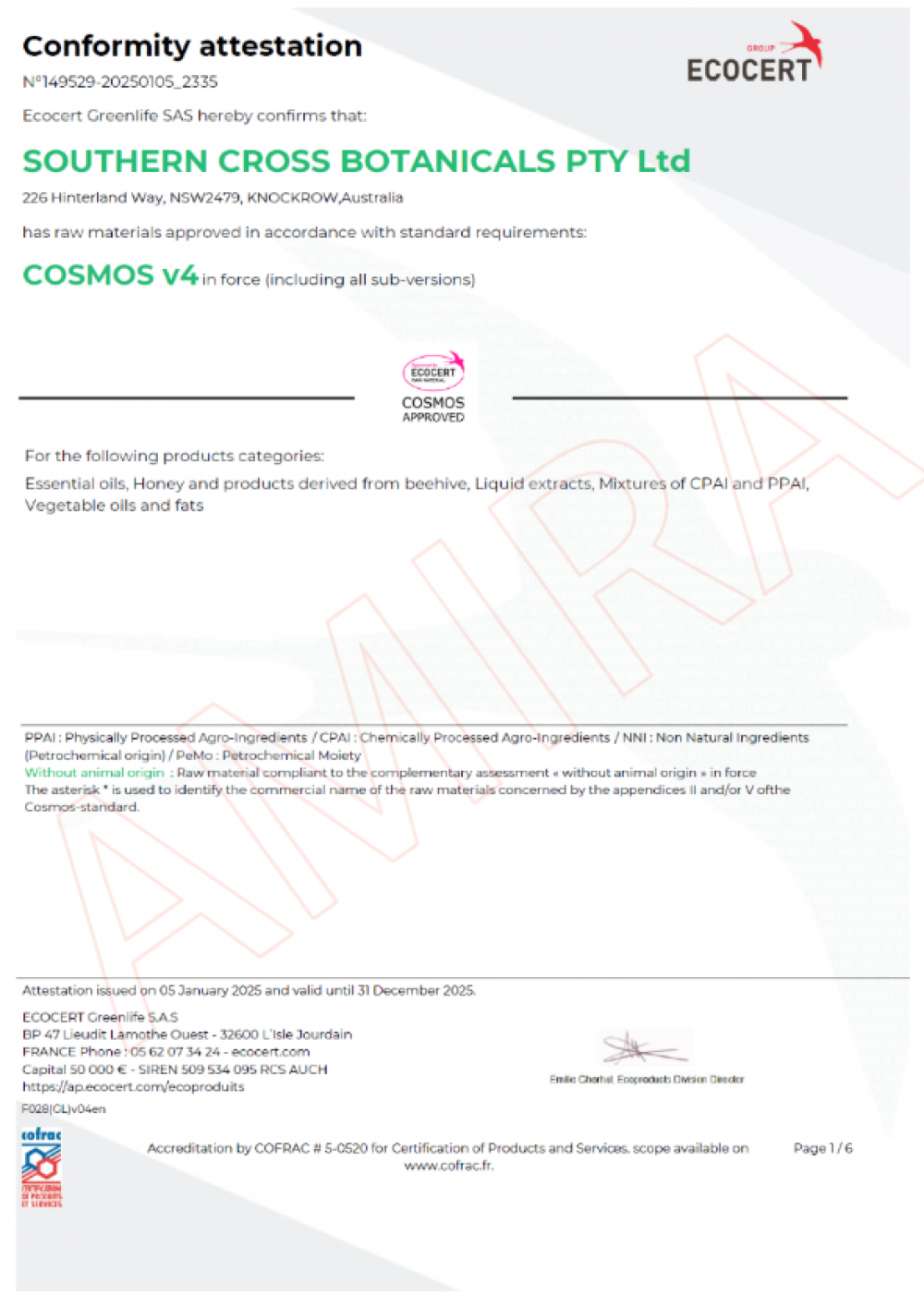 LMC (Southern Cross) Cosmos 2025