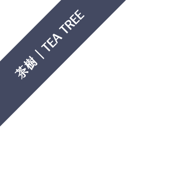 茶樹｜Tree Tea